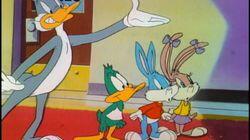 The Looney Beginning