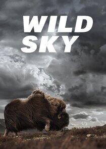 Wild Sky Wild Sky