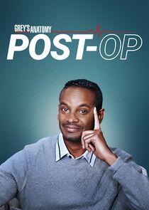 Grey's Anatomy: Post-Op Grey's Anatomy: Post-Op