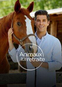 Animaux à la retraite Animaux à la retraite