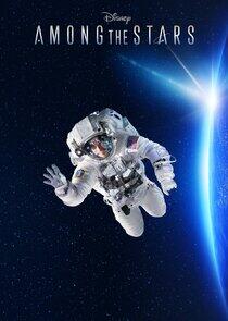 Among the Stars Among the Stars