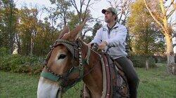 Mule Logger