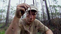 Worm Grunter Worm Grunter