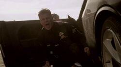 The Winds The Winds
