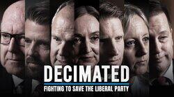 Decimated Decimated