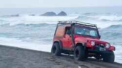 Who Won? Car vs Wild Who Won? Car vs Wild