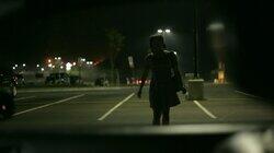 Midnight Prowler Midnight Prowler