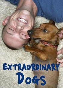 Extraordinary Dogs Extraordinary Dogs