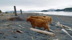 Boatload of Bull Boatload of Bull