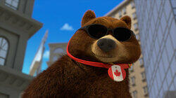 The Unshakeable Bear The Unshakeable Bear