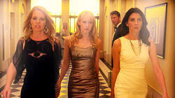 The Girls' Night Out Job The Girls' Night Out Job