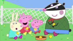 The Petting Farm The Petting Farm