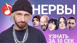 Нервы Нервы