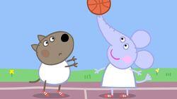 Basketball Basketball