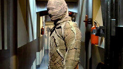 The Mummy The Mummy