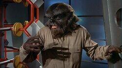 Werewolf Werewolf