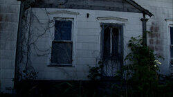 Paranormal Pickin' Paranormal Pickin'