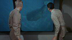 The Shape of Doom The Shape of Doom