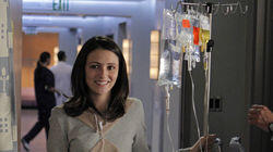 Finding Chemo Finding Chemo