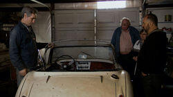 Cars! Cars! Cars! Cars! Cars! Cars!