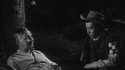 Incident of the Querencias Incident of the Querencias