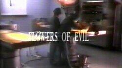 Flowers of Evil