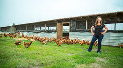 Chicken Lickin' Chicken Lickin'