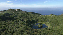 Three Tokyo Islands: Part 2 Three Tokyo Islands: Part 2
