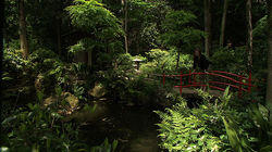 Urban Oasis: The Springs of Tokyo Urban Oasis: The Springs of Tokyo