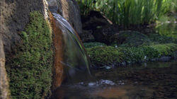 Urban Oasis: Return to the Springs of Tokyo