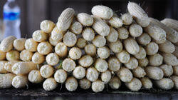 Sweet Corn & Expensive Tea
