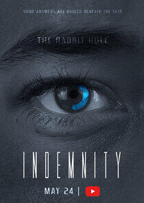 INDEMNITY: The Rabbit Hole INDEMNITY: The Rabbit Hole