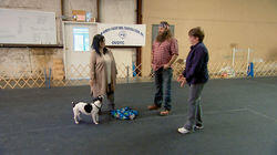 Master and Duck Commander Master and Duck Commander