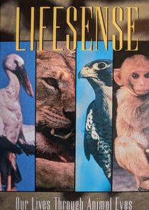 Lifesense Lifesense