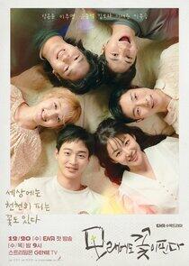 Like Flowers in Sand - Season 1 Like Flowers in Sand - Season 1
