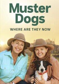 Muster Dogs: Where Are They Now? Muster Dogs: Where Are They Now?