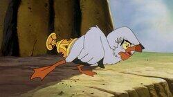 Scuttle Scuttle