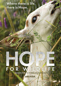 Hope for Wildlife - Season 5