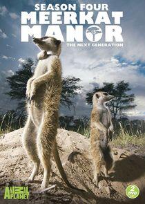 Meerkat Manor - Season 4