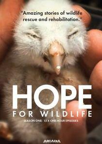 Hope for Wildlife - Season 1 Hope for Wildlife - Season 1