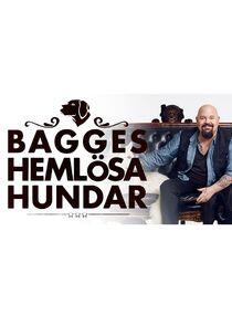 Bagges hemlösa hundar Bagges hemlösa hundar