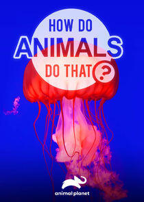 How Do Animals Do That? How Do Animals Do That?