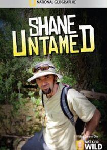 Shane Untamed Shane Untamed