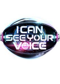 I Can See Your Voice I Can See Your Voice