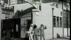 Movie Maniacs Movie Maniacs