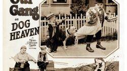 Dog Heaven Dog Heaven