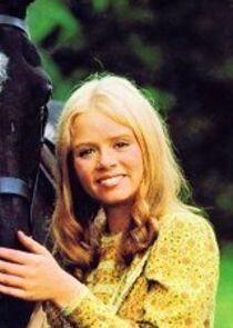 Stacy Dorning Stacy Dorning