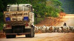 Cops, Customs and Conflict