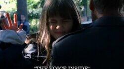 The Voice Inside The Voice Inside