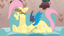 Discordant Harmony Discordant Harmony
